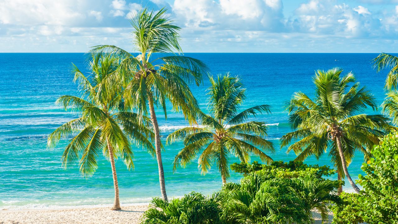 A practical way to analyse the region is to distinguish between Central America and the Caribbean based on their functional roles within your wealth strategy.