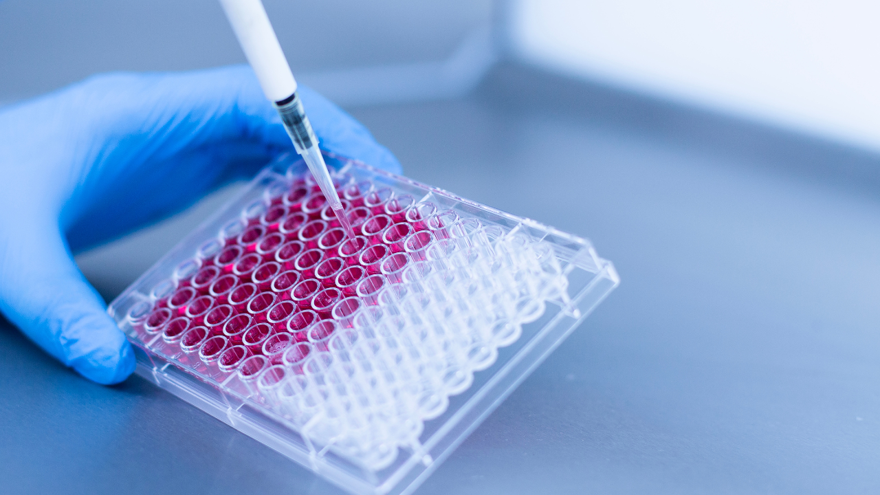 The Global Risks Report 2024 highlights the critical importance of preparing for future pandemics and investing in robust health infrastructures